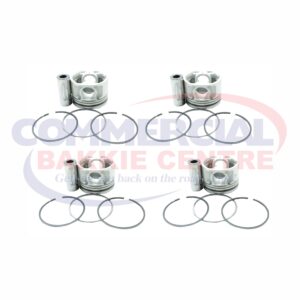 RP60718-STDAE.JPG