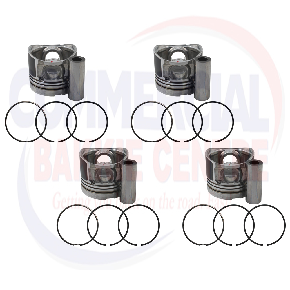 RP48702STD_edit.jpg