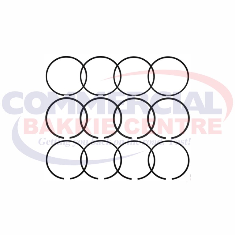 RR40095STDAE.jpg